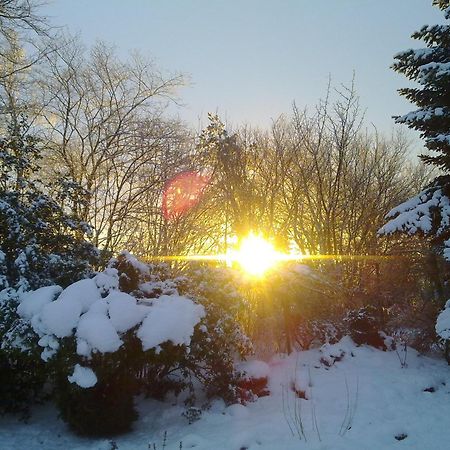 Sov Godt I Arnborg Bed & Breakfast المظهر الخارجي الصورة